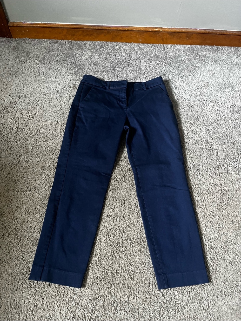 Express columnist ankle pants